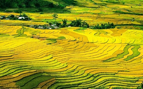 Sapa Biking Tour 2 Days 3 Nights (Overnight at Hotel)