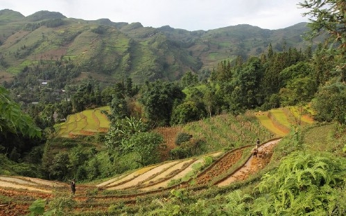 Sapa - Bac Ha Market Trekking Tour 3 Days 4 Nights
