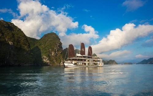 Orchid Cruise